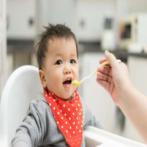 Baby's First Solids - Babymama